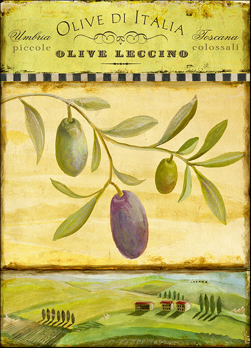 ALIZOE134868 Olive Grove Tuscana, by Art Licensing Studio, available in multiple sizes - Chamton