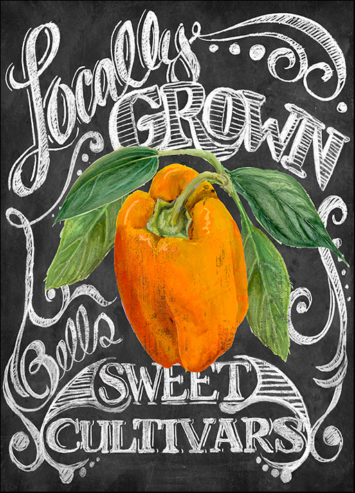ALIZOE136304 Chalkboard Pepper, by Art Licensing Studio, available in multiple sizes - Chamton