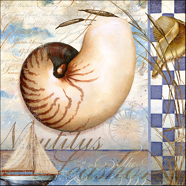 ALIZOE139475 Shell Dreams 2, by Art Licensing Studio, available in multiple sizes