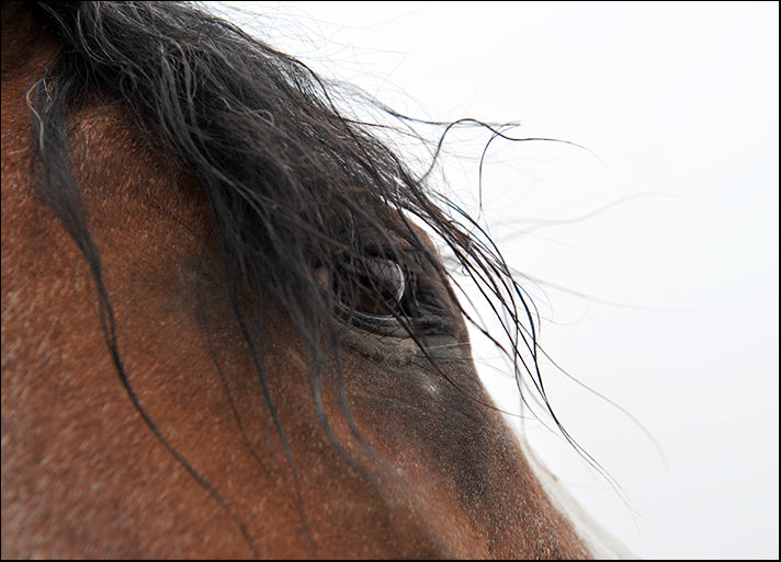 AMASMI120895 Whips Eye, by Amanda Lee Smith, available in multiple sizes