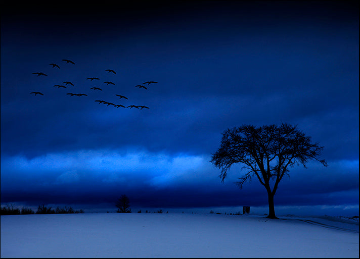 ANDVIL127315 Blue Day, by Andre Villeneuve, available in multiple sizes