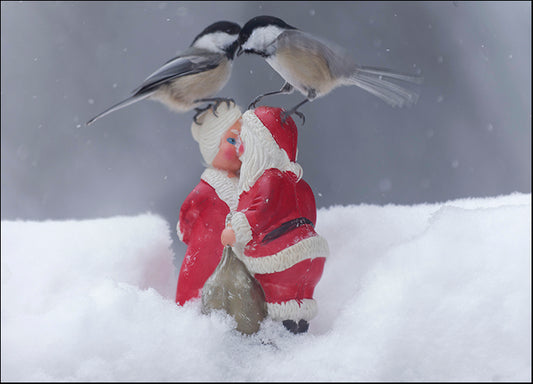 ANDVIL127318 Chickadee See Chickadee Do, by Andre Villeneuve, available in multiple sizes