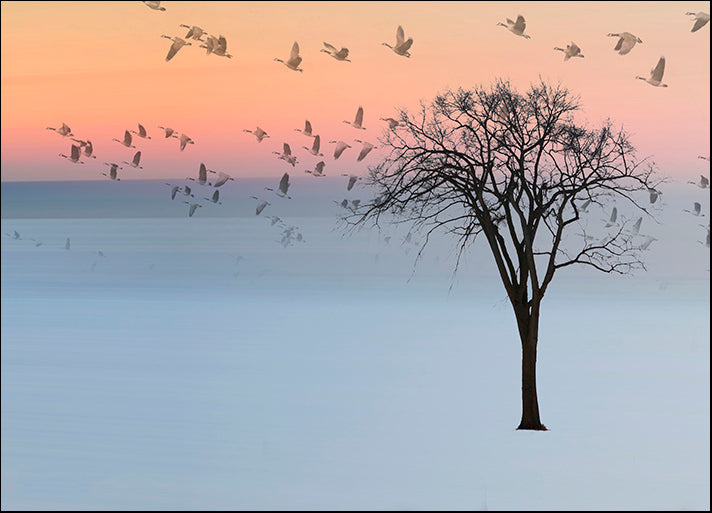 ANDVIL127321 Good Day, by Andre Villeneuve, available in multiple sizes