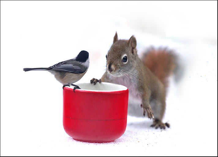 ANDVIL127333 My Buddy Berry, by Andre Villeneuve, available in multiple sizes