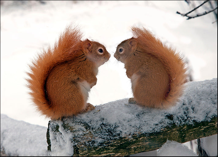 ANDVIL127334 Nose to Nose, by Andre Villeneuve, available in multiple sizes
