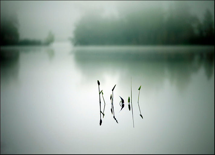 ANDVIL127336 Quiet and Silence, by Andre Villeneuve, available in multiple sizes - Chamton