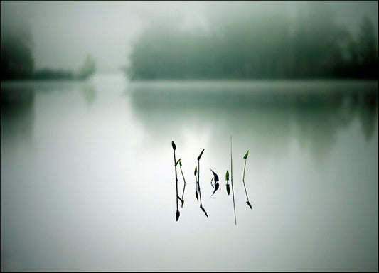 ANDVIL127336 Quiet and Silence, by Andre Villeneuve, available in multiple sizes - Chamton