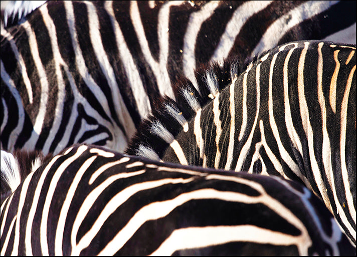 ANDVIL127337 Read Between The Lines, by Andre Villeneuve, available in multiple sizes - Chamton