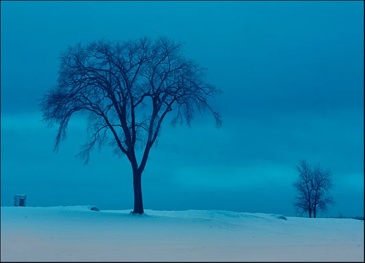 ANDVIL127342 The Back House, by Andre Villeneuve, available in multiple sizes - Chamton