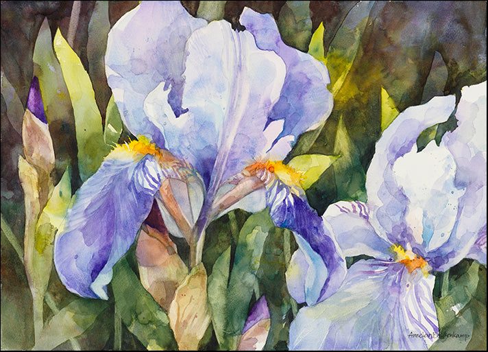 ANNBEU109014 Purple Iris Closeup, by Annelein Beukenkamp, available in multiple sizes - Chamton