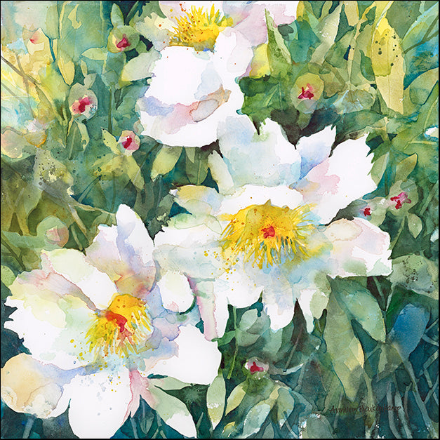 ANNBEU85668 Pristine Peonies, by Annelein Beukenkamp, available in multiple sizes