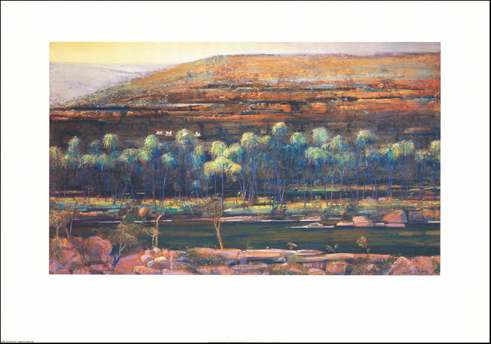 AW BD101 Corellas Palm Valley by Brendon Darby 100x70cm Paper - Chamton