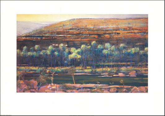 AW BD101 Corellas Palm Valley by Brendon Darby 100x70cm Paper - Chamton