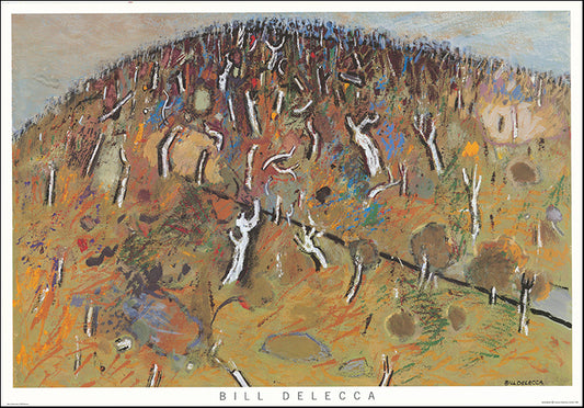 AW BD484 Mount Alexander by Bill Delecca 100x69cm Paper