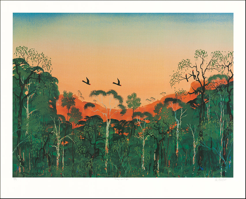 AW CAPR01 Capricorn Light LE of 550 by Ian Stansfield 78x63cm on paper
