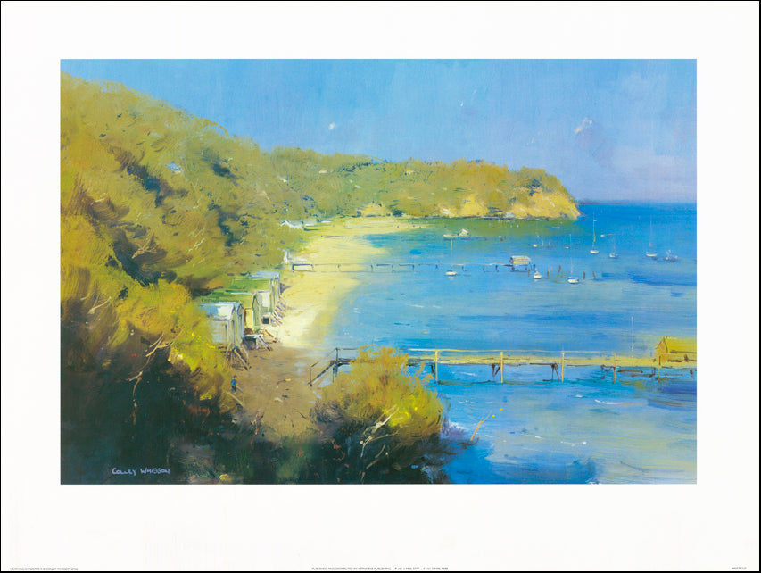 AW CW727 Colley Whisson 80x60cm on paper, Morning Shadows 2