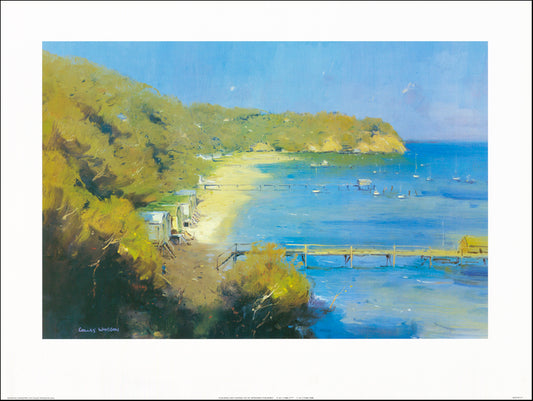 AW CW727 Colley Whisson 80x60cm on paper, Morning Shadows 2