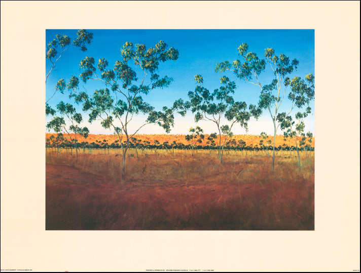 AW DK102 Douglas Kirsop 80x60cm on paper, Silent Grove Kimberly - Chamton