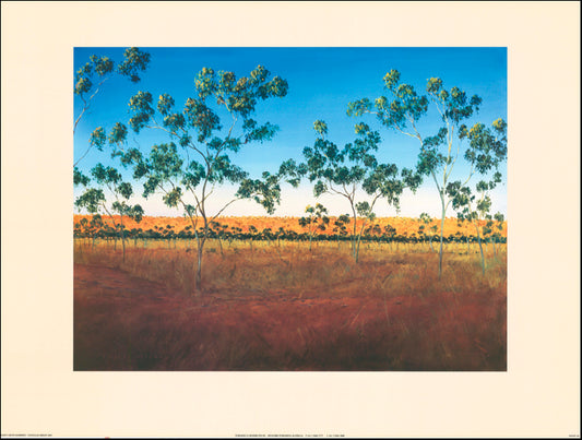 AW DK102 Douglas Kirsop 80x60cm on paper, Silent Grove Kimberly