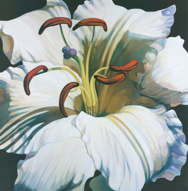 AW FF768 Frances Fussell 70x70cm on paper, November Lillies 2