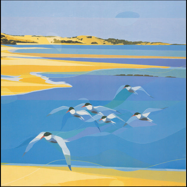 AW LK654 Lars Knudsen 70x70cm on paper, Whiskered Tern