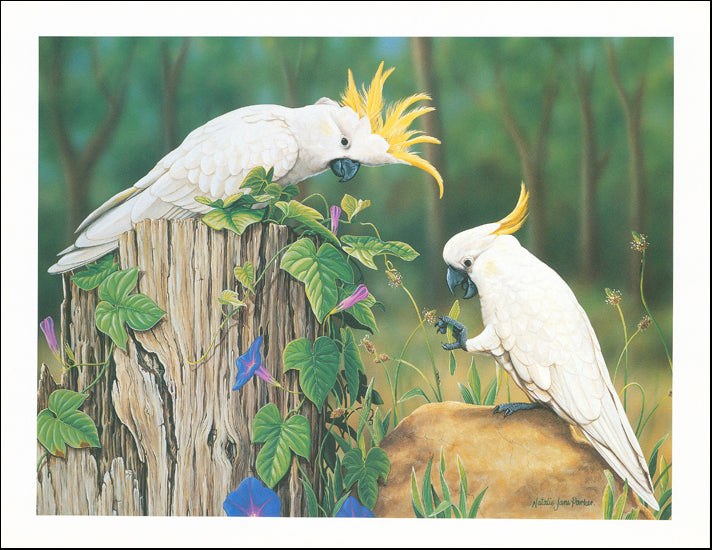 AW NP738 Natalie Parker 45x35cm on paper, Aussie Characters