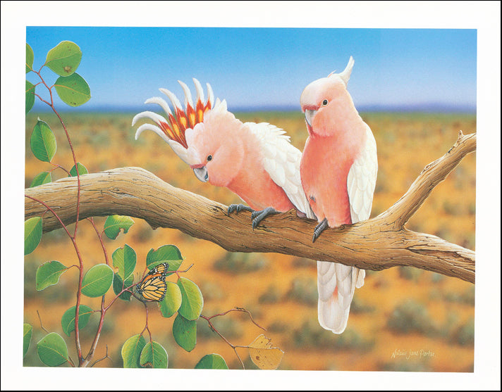 AW NP740 Natalie Parker 45x35cm on paper, Outback Wanderers