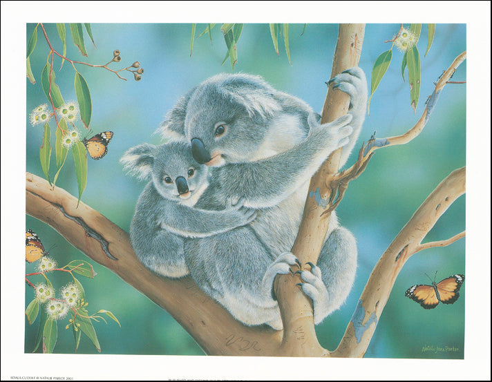 AW NP784 Natelie Parker 45x34cm on paper, Koala Cuddle