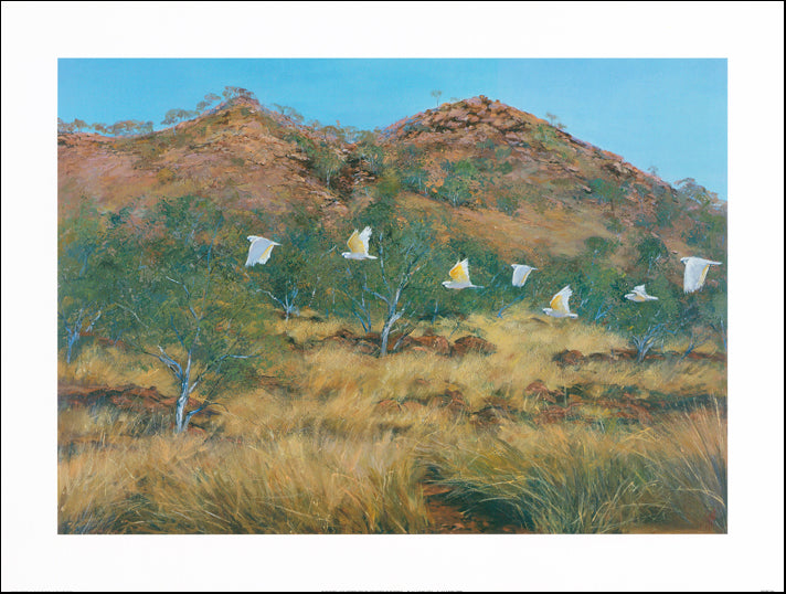 AW PE760 Paul Evans 80x60cm on paper, Cockatoos in Flight