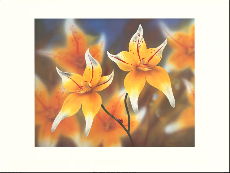 AW PRK105 Peter Randall Kent 80x60cm on paper, Yellow Cowslip Orchid