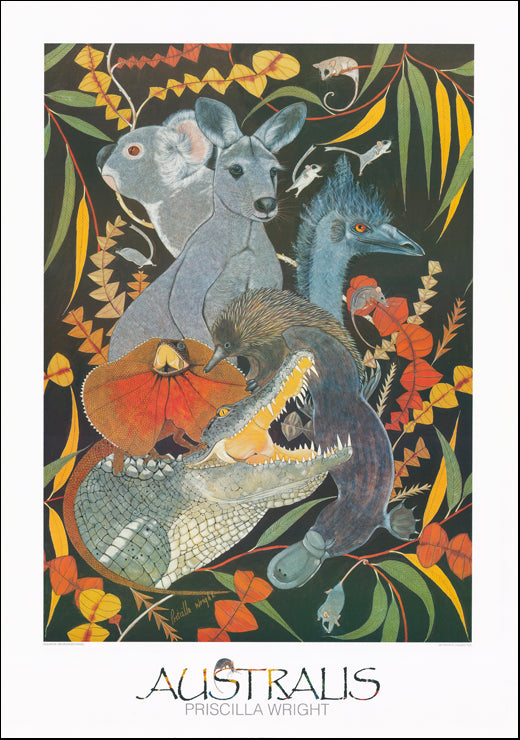 AW PW421 Priscilla Wright 69x99cm on paper, Australis
