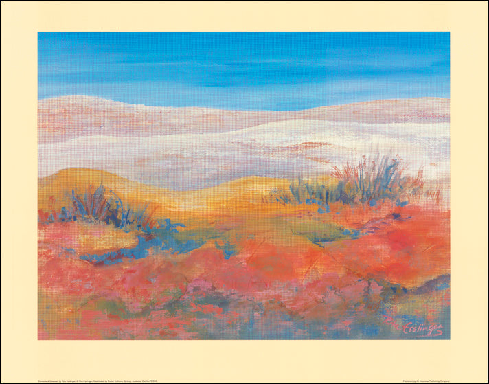 AW RE25 Dunes and Grasses by Rita Esslinger 77x61cm
