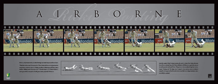 Ricky Ponting Airborne 78x30cm paper - Chamton