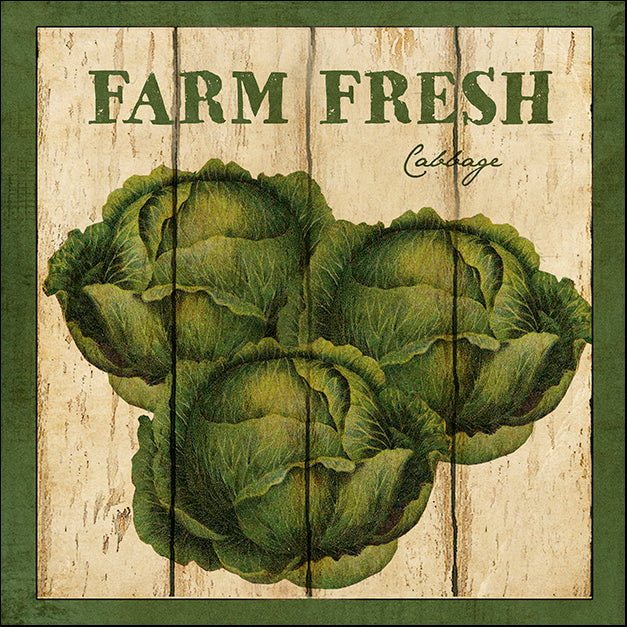 BETALB123025 Farm Fresh Cabbage, by Beth Albert, available in multiple sizes