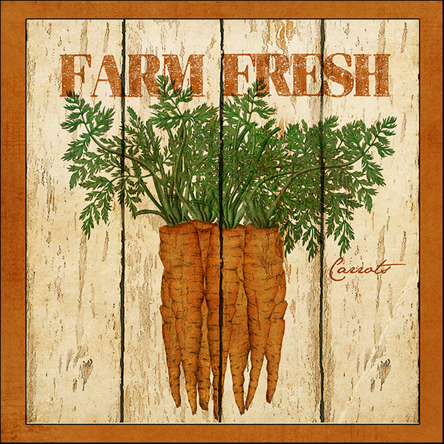 BETALB123026 Farm Fresh Carrots, by Beth Albert, available in multiple sizes