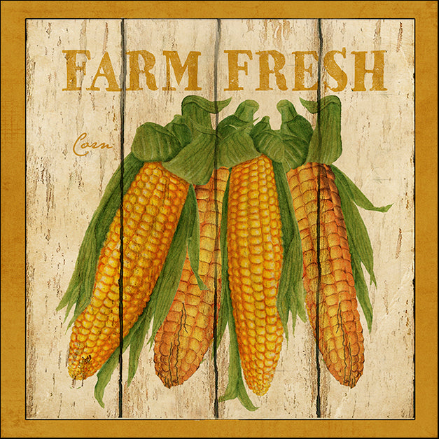 BETALB123027 Farm Fresh Corn, by Beth Albert, available in multiple sizes