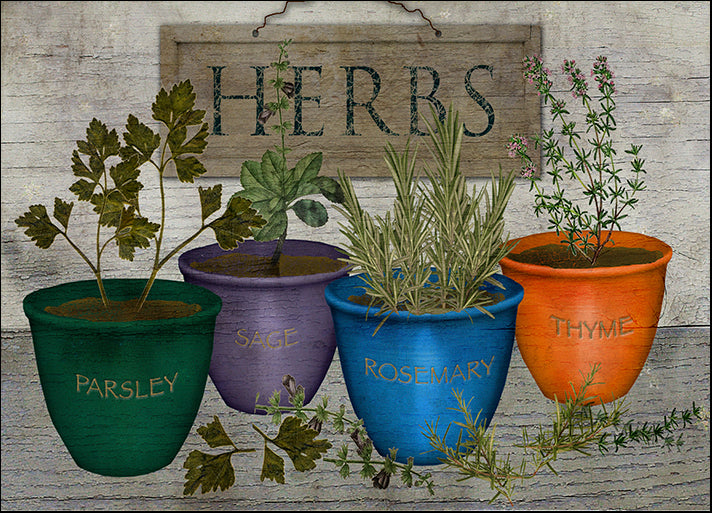 BETALB123028 Herbs, by Beth Albert, available in multiple sizes