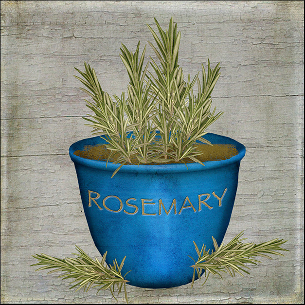 BETALB123030 Herb Rosemary, by Beth Albert, available in multiple sizes