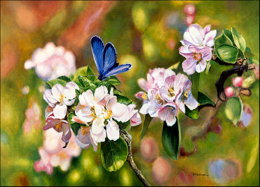 BILMAK78497 Blue On Pink, by Bill Makinson, available in multiple sizes