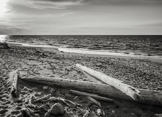 98171 Driftwood, by Bisig, available in multiple sizes