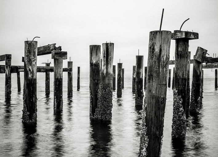 98188 Forgotten Pier, by Bisig, available in multiple sizes - Chamton