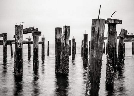 98188 Forgotten Pier, by Bisig, available in multiple sizes - Chamton