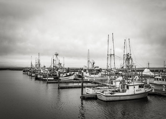 98195 By the Marina, by Bisig, available in multiple sizes