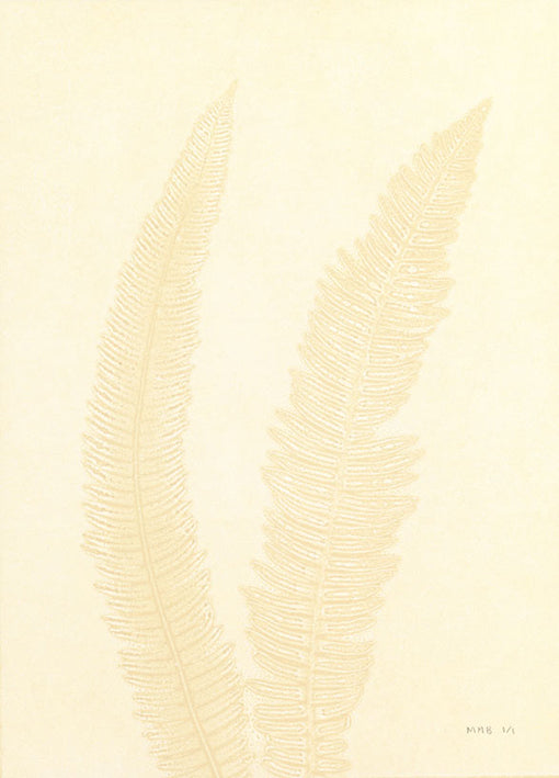 85545 Grey Fern 7, by Briggs, available in multiple sizes
