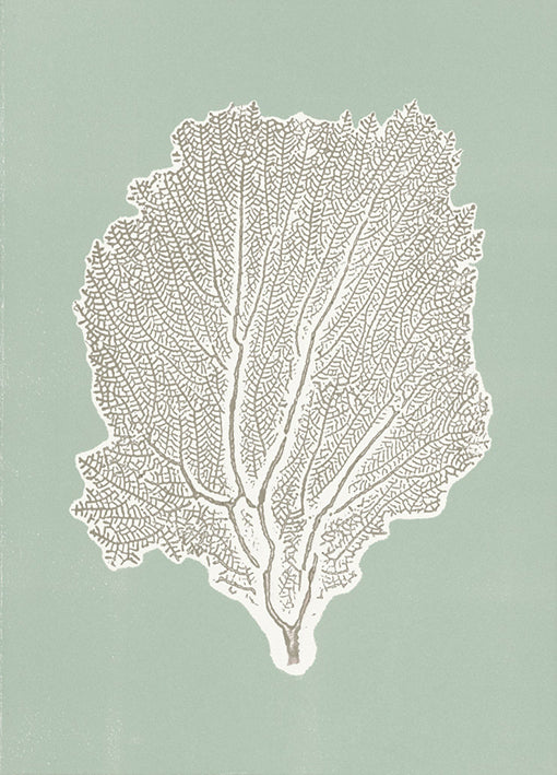 86281 Sea Fan 1, by Briggs, available in multiple sizes