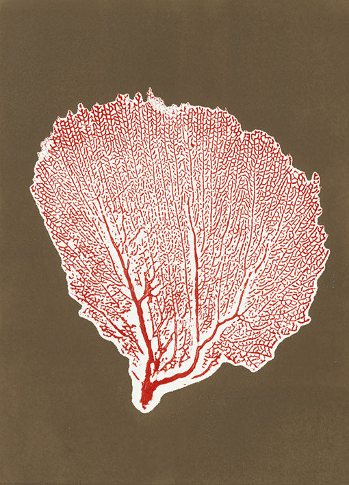 86283 Sea Fan 10, by Briggs, available in multiple sizes - Chamton