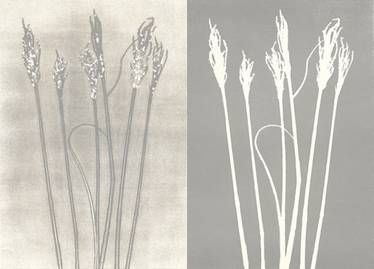 93007 Untitled, by Briggs, available in multiple sizes