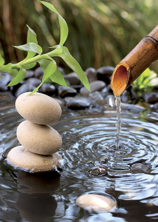 C220 Bamboo Paradise, available in multiple sizes