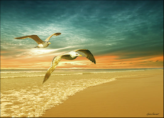 CARCAS93349 Soft Sunrise on the Beach 6, by Carlos Casamayor, available in multiple sizes