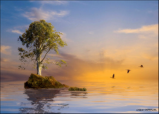 CARCAS93483 The Immortal Tree, by Carlos Casamayor, available in multiple sizes